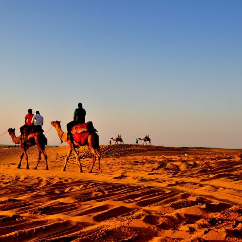 Camel-Safari-Jaisalmer-86223-pixahive